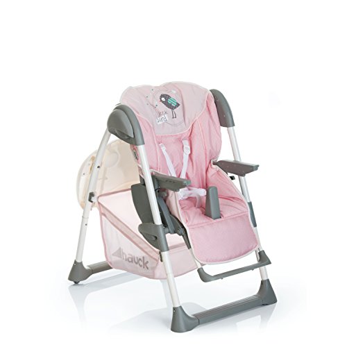 Hauck Sit N Relax - Hamaquita balancin y trona para recién nacidos, respaldo reclinable, chasis ligero, con arco móvile, mesa, ruedas, regulable en altura, plegable - rosa