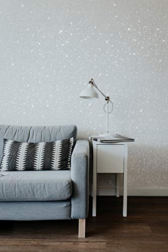 Hemway - Aditivo Brillante para Pinturas de emulsión a Base de Agua - Plateado - Efecto Holograma - 100 g