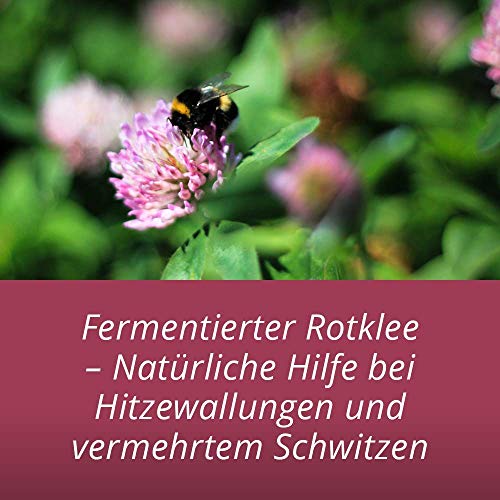 Herrens Mark – Extracto de Trébol Rojo Fermentado – Para mujeres en la menopausia – con trébol rojo, melisa, menta piperita y salvia