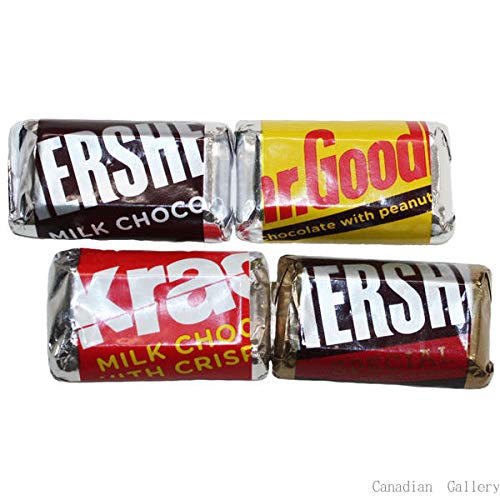 Hershey Reese's Peanut Butter Cup Miniatures (150g.)