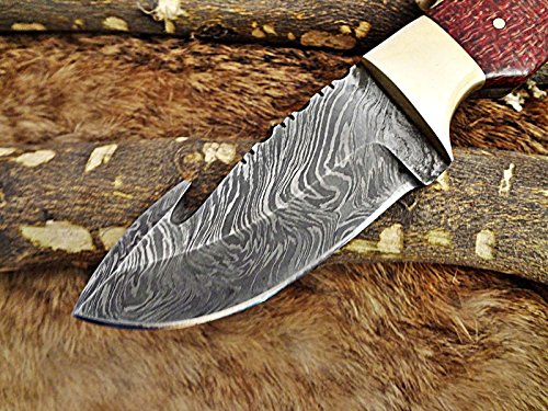 Hoja compacta de Acero Damasco de Espiga Completa con Cuchillo de Tripa, Cuchillo de Bolsillo con Cuchillo de Camping de Madera de micarta roja, Funda de Cuero de Vaca incluida