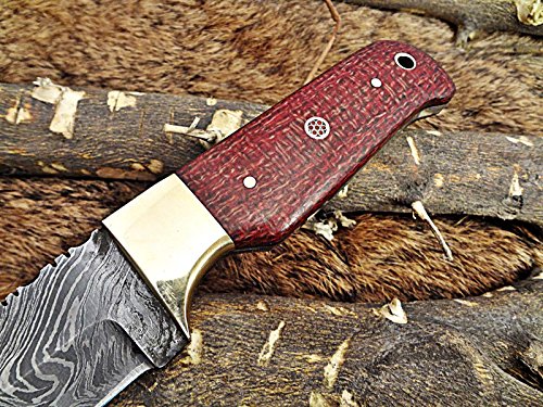 Hoja compacta de Acero Damasco de Espiga Completa con Cuchillo de Tripa, Cuchillo de Bolsillo con Cuchillo de Camping de Madera de micarta roja, Funda de Cuero de Vaca incluida