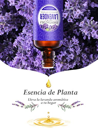 Homasy 50ml Aceite Esencial de Lavanda 100% Puro, Aceite Perfumado sin Diluir, Natural, Orgánico para Difusor, Relax, Alivio, Sueño, Piel, Cuerpo, Masaje, Aceites Naturales para el Hogar Interior