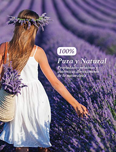 Homasy 50ml Aceite Esencial de Lavanda 100% Puro, Aceite Perfumado sin Diluir, Natural, Orgánico para Difusor, Relax, Alivio, Sueño, Piel, Cuerpo, Masaje, Aceites Naturales para el Hogar Interior