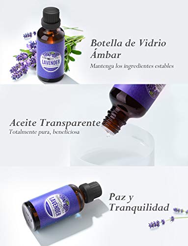 Homasy 50ml Aceite Esencial de Lavanda 100% Puro, Aceite Perfumado sin Diluir, Natural, Orgánico para Difusor, Relax, Alivio, Sueño, Piel, Cuerpo, Masaje, Aceites Naturales para el Hogar Interior