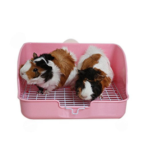 HongYH Pet Small Rat Toilet, Square Potty Entrenador Corner Litter Bedding Box Pet Pan para Small Animal/Rabbit/Conejillo de Indias/galesaur/Huron (Color Aleatorio)