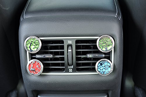 Horsky BF0003XX - Difusor de aceites Esenciales para Coche, Acero Inoxidable, ambientador Natural, 4 pies, Clip para ventilación y aromaterapia con 10 Almohadillas de Fieltro