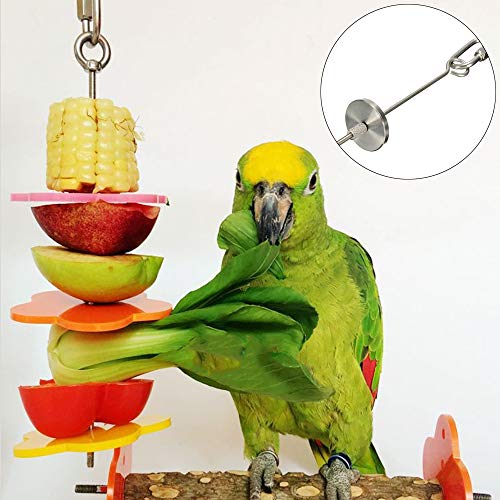 Hpamba Pájaros para Verduras Comedero Herramienta Fruta Loro Verduras Fruta Loro Acero Inoxidable Porta Frutas para Pájaros Brocheta Loros Acero Inoxidable Comedero Pájaros Brocheta (2 Piezas, Plata)