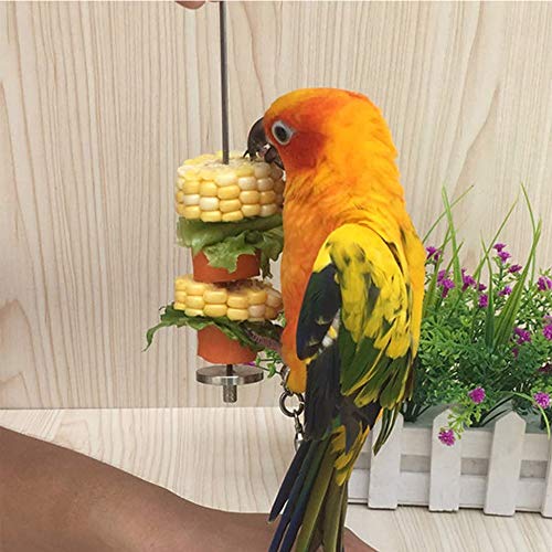 Hpamba Pájaros para Verduras Comedero Herramienta Fruta Loro Verduras Fruta Loro Acero Inoxidable Porta Frutas para Pájaros Brocheta Loros Acero Inoxidable Comedero Pájaros Brocheta (2 Piezas, Plata)