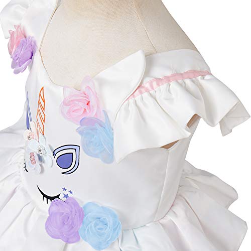 IBTOM CASTLE Vestido de Tutu Princesa Unicornio Arco Iris Fiesta de cumpleaños Disfraz Bautizo para Niña Vestido Infantil Ceremonia Púrpura 18 Meses