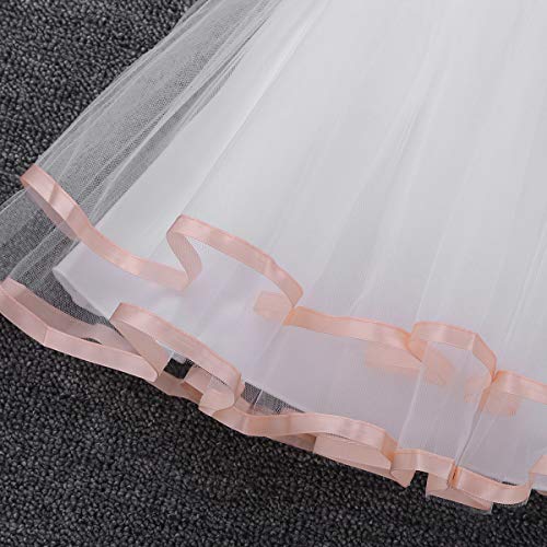 iiniim Vestido de Bautizo Bebé Niña Recién Nacido Vestido Blanco Brodado de Bautizo Boda Princesa Tutú Bowknot Traje de Bautizo Fiesta Ceremonia Conjunto con Bragas 0-24 Meses Rosa 12-18 Meses