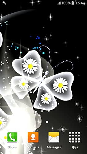 Imágenes de Butterfly Live