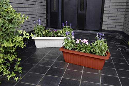 Iris Ohyama, Jardinera delgada con reserva de agua - Slim Planter Relief - 500, plástico, marrón, mediano, 50 x 19 x 16,7 cm