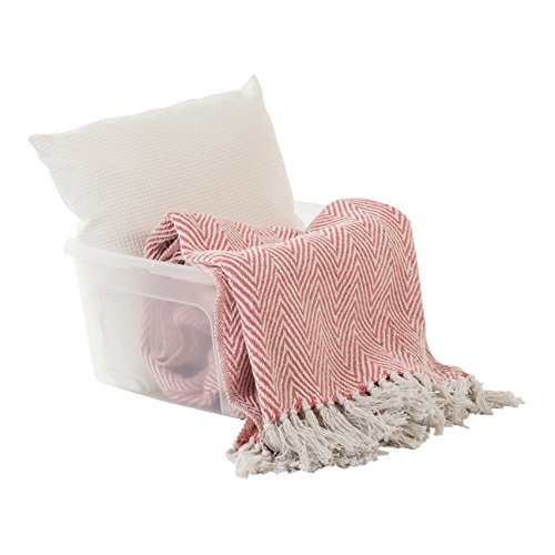Iris Ohyama, lote de 3 cajas de almacenamiento con tapa Modular Clear Box MCB 18 Plástico, transparente, 18 L, 39,5 x 34 x 19.9 cm, 18L, 3