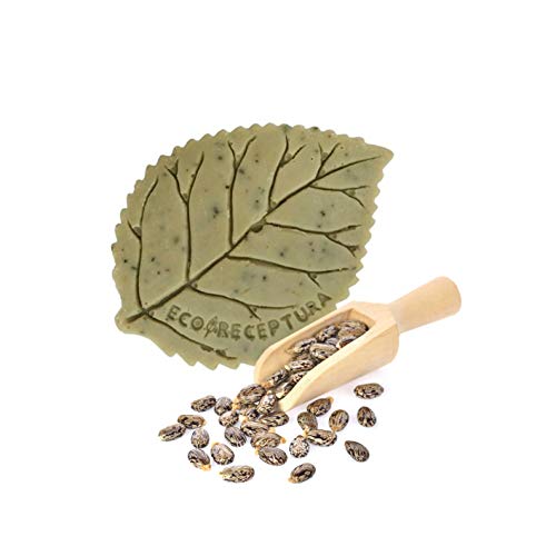 Jabón natural con aceite de ricino, aceite de oliva, aceite de coco, manteca de cacao y manteca de karité - Cuidado facial y corporal a base de principios activos naturales y extracto de flores