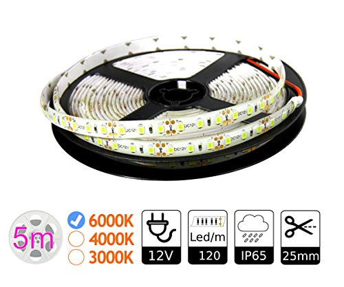 JANDEI - Tira LED 12V 600LED Bobina 5 Metros IP65 Exterior SMD2835 Base Adhesiva De Alta Calidad 3M. Corte Cada 25 Milímetros. 12 Vatios Metro [Clase de eficiencia energética A+] (6000K)