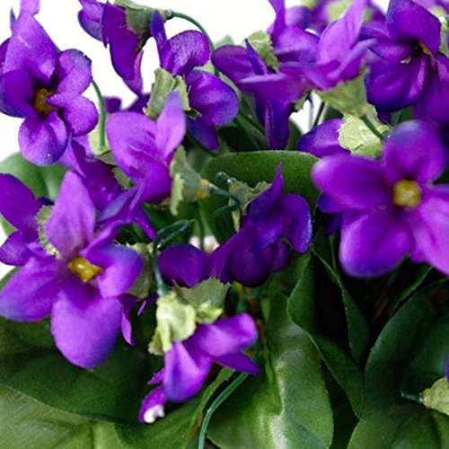 Jarabe de violeta lote de 2