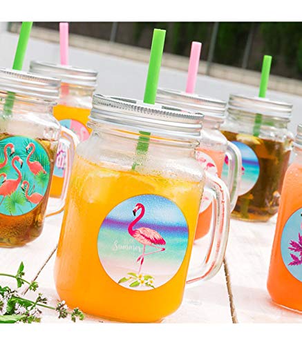 Jarritas con Tapas y Pajitas Flamencos Wagon Trend (pack de 6)