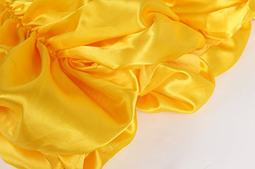 JerrisApparel Princesa Belle Disfraz Niñas Capa de pastel vestido de fiesta (amarillo, 7 años / Tamaño Fabricante: 140)