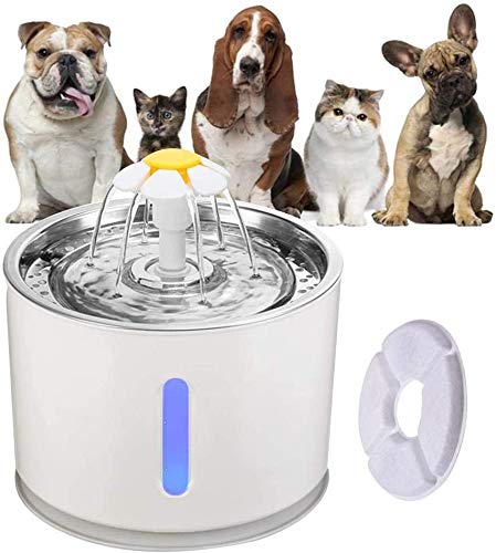 JFUNE Fuente de Agua Potable para Gatos, Fuente de Agua para Mascotas para Perros con Apagado automático de la Bomba de Agua y Ventana de Nivel de Agua con luz LED