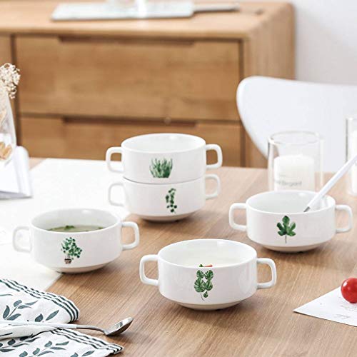 JLWM Cuenco para Sopa con 2 Asas, 300ML Cuencos para Sopa con Asas De Porcelana Cerámico Microonda Cocina Jarra Taza Plantar Flores para Gachas De Avena Desayuno Postre-E