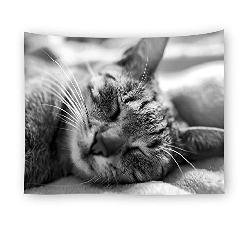 jtxqe Mejor Venta de Tela Decorativa tapicería de impresión de Gato 4 150X100cm