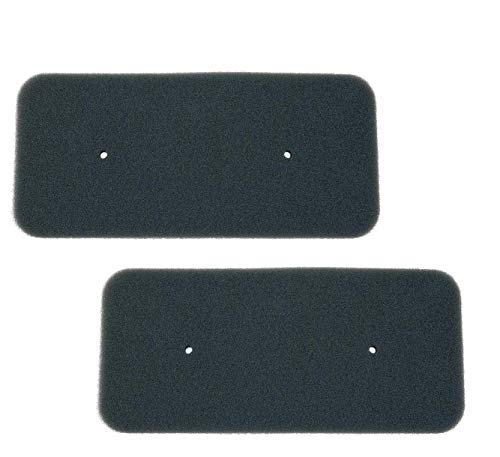Juego de 2 filtros originales para Candy Hoover 40006731, secador de secadora, bomba de calor Fagor House to House Ostein, 275 x 125 mm, filtro de esponja, esterilla de filtro, secador de condensación