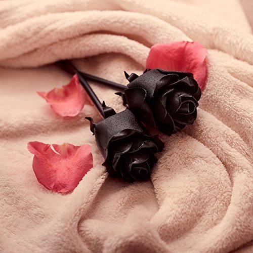 Juego de 2 rosas de hierro trenzadas para siempre.Hermoso regalo de aniversario con mensaje profundo - ramo entrelazado.