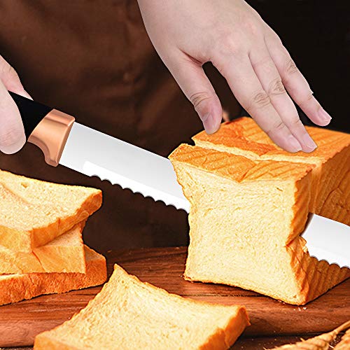 Juego de bloques de cuchillos de cocina Juego de 5 piezas de cobre con cuchillos Hojas de acero inoxidable con bloque de acrílico transparente - por Nuovva