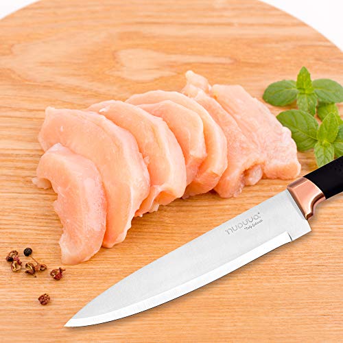 Juego de bloques de cuchillos de cocina Juego de 5 piezas de cobre con cuchillos Hojas de acero inoxidable con bloque de acrílico transparente - por Nuovva