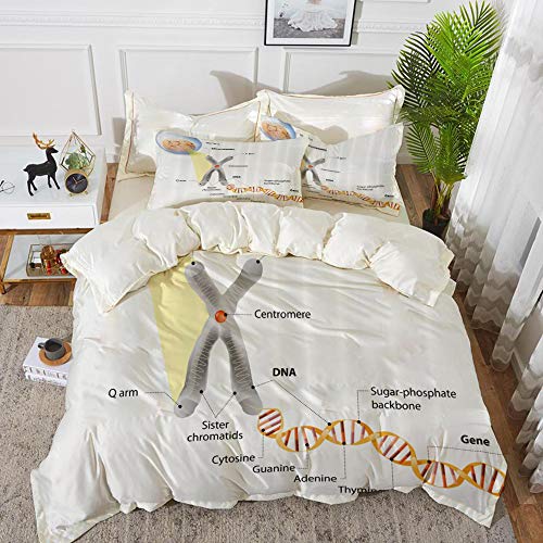 Juego de cama, microfibra,Educativo, ADN del cromosoma celular Estudio del genoma genético Investigación de la ciencia de la evolució,1 juego de funda nórdica 200 x 2002 fundas de almohada 50x80cm