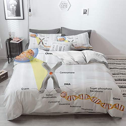 Juego de cama, microfibra,Educativo, ADN del cromosoma celular Estudio del genoma genético Investigación de la ciencia de la evolució,1 juego de funda nórdica 200 x 2002 fundas de almohada 50x80cm