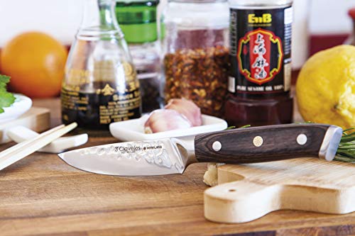 Juego de cuchillos de cocina profesional 3 Claveles Kimura Cuchillo de cocina multiusos menaje de cocina acero inoxidable set de utensilios cocina