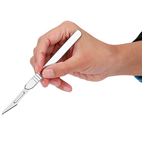 Juego de disección de acero inoxidable de alta calidad, 7 piezas; herramientas de laboratorio para estudiantes de biología