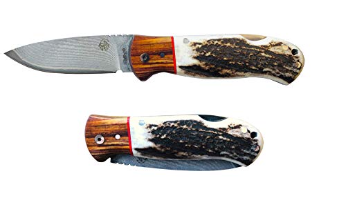 JV Navaja Bushcraft Luxury Edicion Limitada de 80 Unidades Damasco VG-10 empuñadura de asta de Ciervo y Madera de Cocobolo, separadores de Fibra Rojo Realizado en Albacete + Portabotellas de regalo