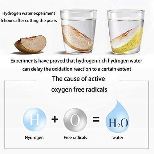 JW-YZWJ Elemento Agua Rica en hidrógeno Copa Regalo de la Taza, la Taza de Cristal electrolítico, Cambio de Calidad de Agua en 3 Minutos, el hidrógeno Contenido 700-1000Ppb