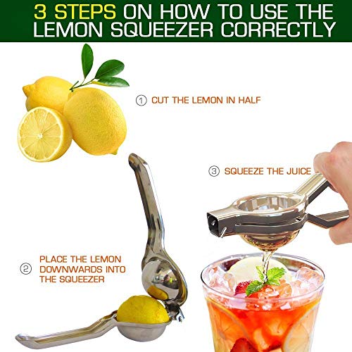 Jzhen Exprimidor Limones Acero Inoxidable Manual Prensa para Limones Naranjas Zumo