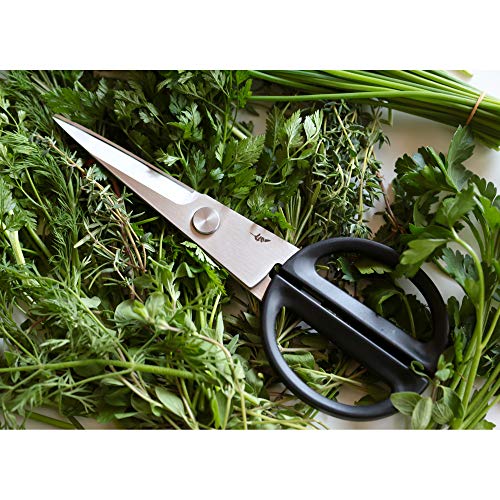 Kai BK-0202 - Tijeras pequeñas Michel Bras (h.nr.)
