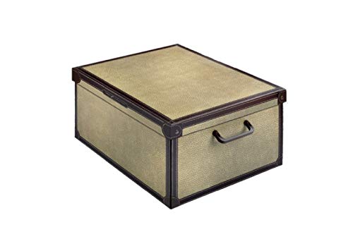 Kanguru Caja de Almacenamiento en cartòn Lavatelli, Modelo TAPIRUS, Media 32x42x21cm