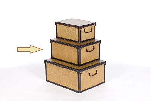 Kanguru Caja de Almacenamiento en cartòn Lavatelli, Modelo TAPIRUS, Media 32x42x21cm