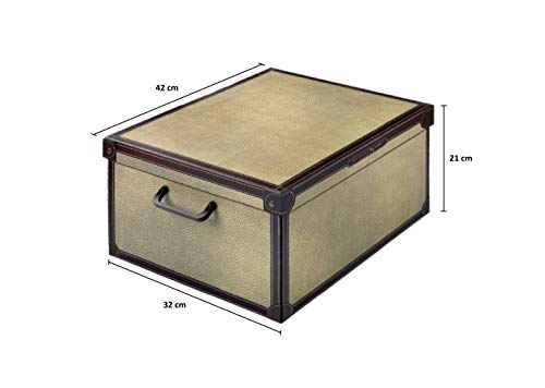 Kanguru Caja de Almacenamiento en cartòn Lavatelli, Modelo TAPIRUS, Media 32x42x21cm