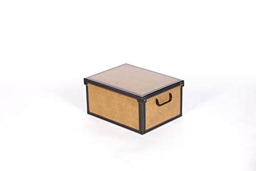 Kanguru Caja de Almacenamiento en cartòn Lavatelli, Modelo TAPIRUS, Media 32x42x21cm