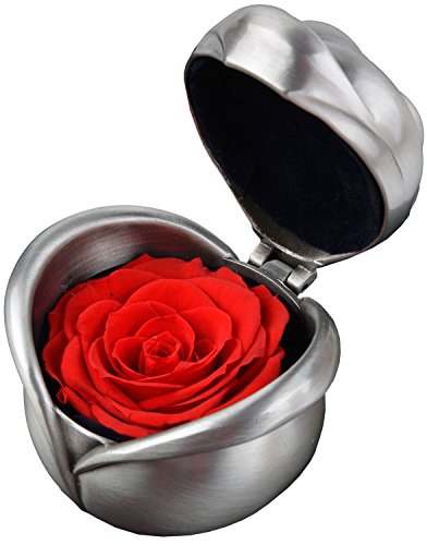 Kapmore Caja para Anillos Rosa Preservada Flores Preservadas Con Bonita Caja de Regalo Como para Propuesta de Matrimonio Boda Navidad Valentine Aniversario Cumpleaños Regalo