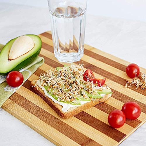 Kenley - Juego de germinador para cultivar sus propias ensaladas de brotes de alfalfa brocolli con tapas de colador de acero inoxidable