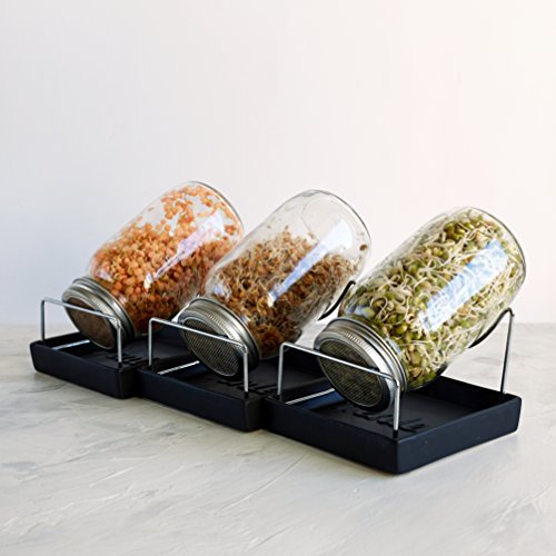 Kenley - Juego de germinador para cultivar sus propias ensaladas de brotes de alfalfa brocolli con tapas de colador de acero inoxidable