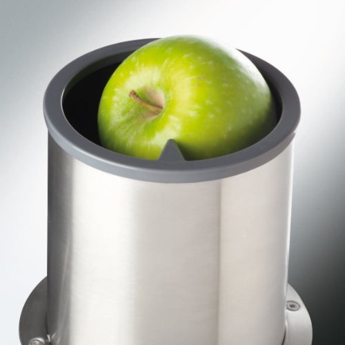 Kenwood JE730 Licuadora, 1000 W, con tubo de acero inoxidable, semi profesional, 3 L capacidad de depósito de pulpa, 1.5 L de capacidad de zumo
