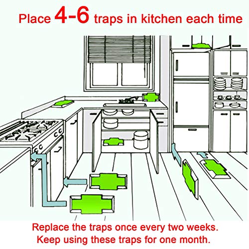 Kimimara Cucaracha Trampas, 12 Pcs Trampas para cucarachas con Cebo Incluido, para el Control de Plagas en el Hogar Matar Cucarachas Hormigas Arañas y Otros Insectos