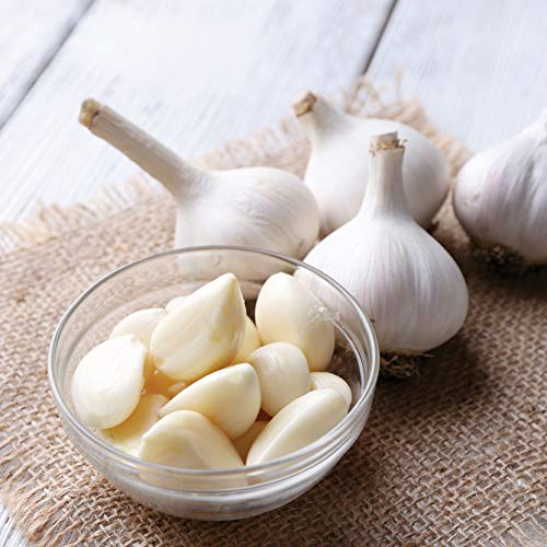 Kitchen Craft Professional - Prensador de ajo de acero inoxidable