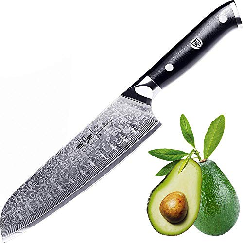 Kitchen Emperor Cuchillo Santoku, Cuchillo Damasco, Profesional Cuchillos da Cocina, Cuchillo da Acero de Damasco 67 Capas con la Manija G10