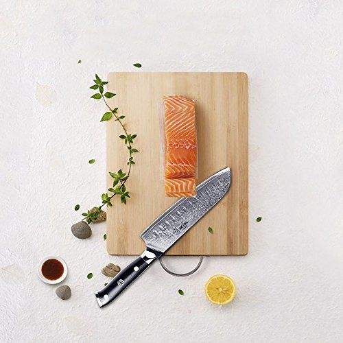 Kitchen Emperor Cuchillo Santoku, Cuchillo Damasco, Profesional Cuchillos da Cocina, Cuchillo da Acero de Damasco 67 Capas con la Manija G10